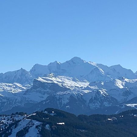 La Chanterelle - Mountain Lodge La Cote d'Arbroz 外观 照片