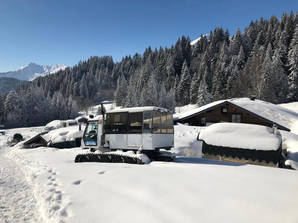 La Chanterelle - Mountain Lodge La Cote d'Arbroz 外观 照片