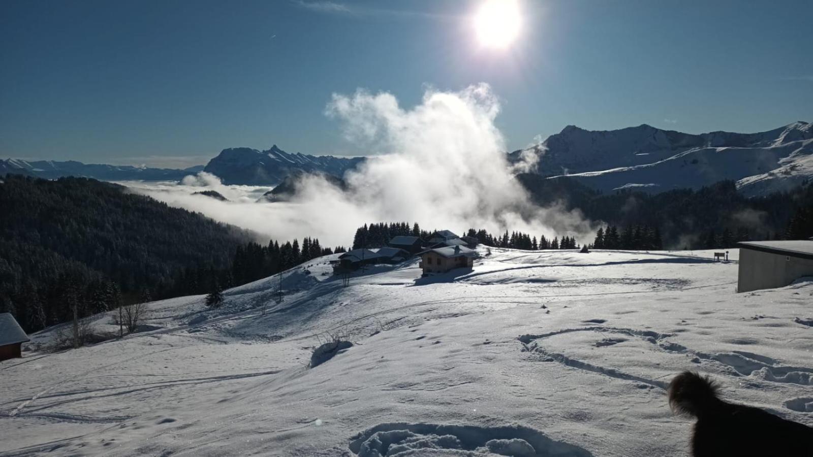 La Chanterelle - Mountain Lodge La Cote d'Arbroz 外观 照片