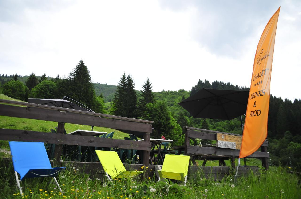 La Chanterelle - Mountain Lodge La Cote d'Arbroz 外观 照片