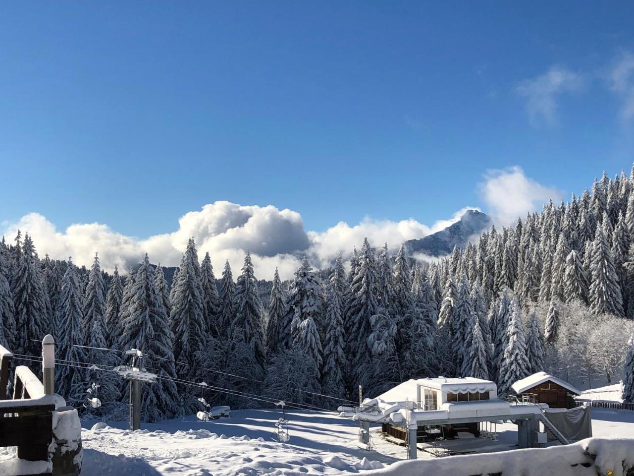 La Chanterelle - Mountain Lodge La Cote d'Arbroz 外观 照片