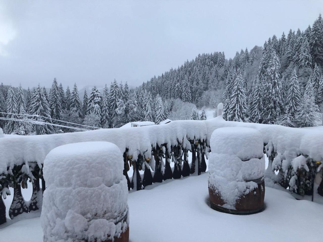 La Chanterelle - Mountain Lodge La Cote d'Arbroz 外观 照片